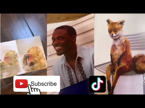 what do you meme